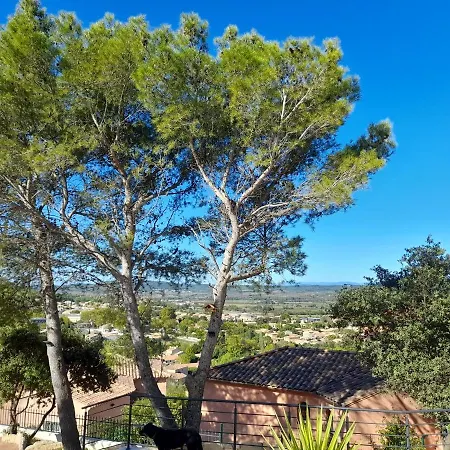 Du Roc Des Garrigues *