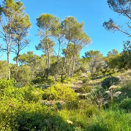 Du Roc Des Garrigues *